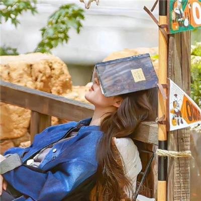 把西藏带回家