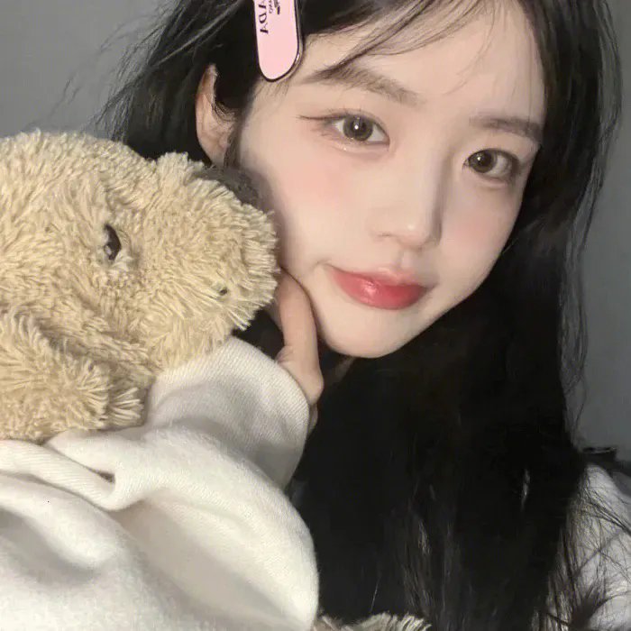 我的宠物是大象